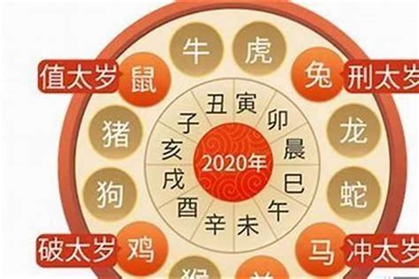 2024年生肖 運程 兔|属兔人2024年全年整体运势及每月运势详解